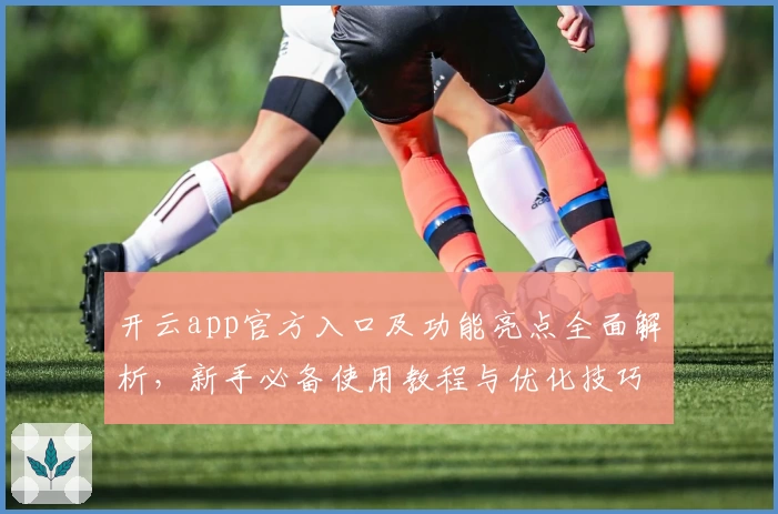 开云app官方入口及功能亮点全面解析,新手必备使用教程与优化技巧!