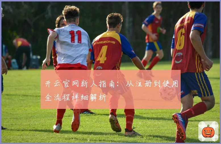 开云官网新人指南：从注册到使用全流程详细解析