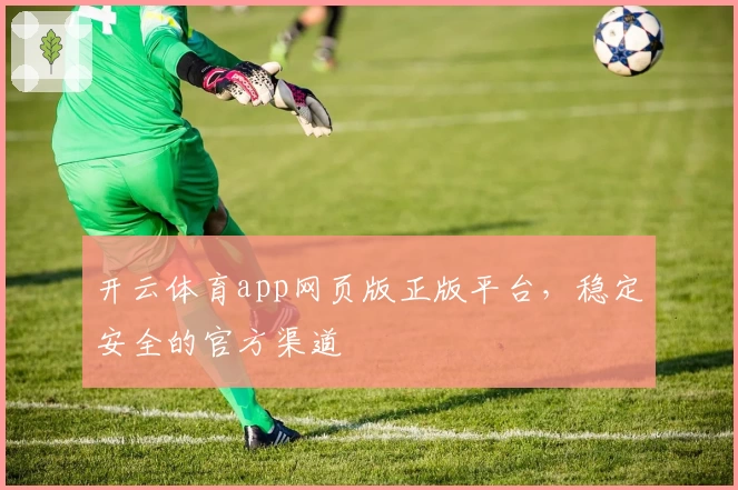 开云体育app网页版正版平台，稳定安全的官方渠道